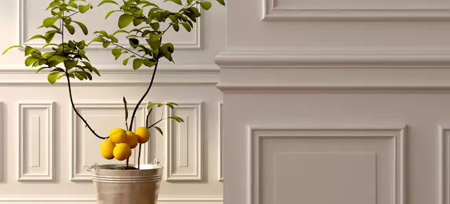 Chair Rail & Wall Trim image